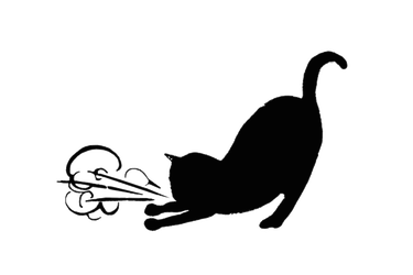 Asthmatic Kitty