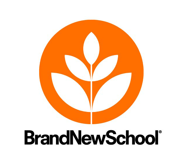 Brand New School