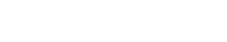 ION Audio