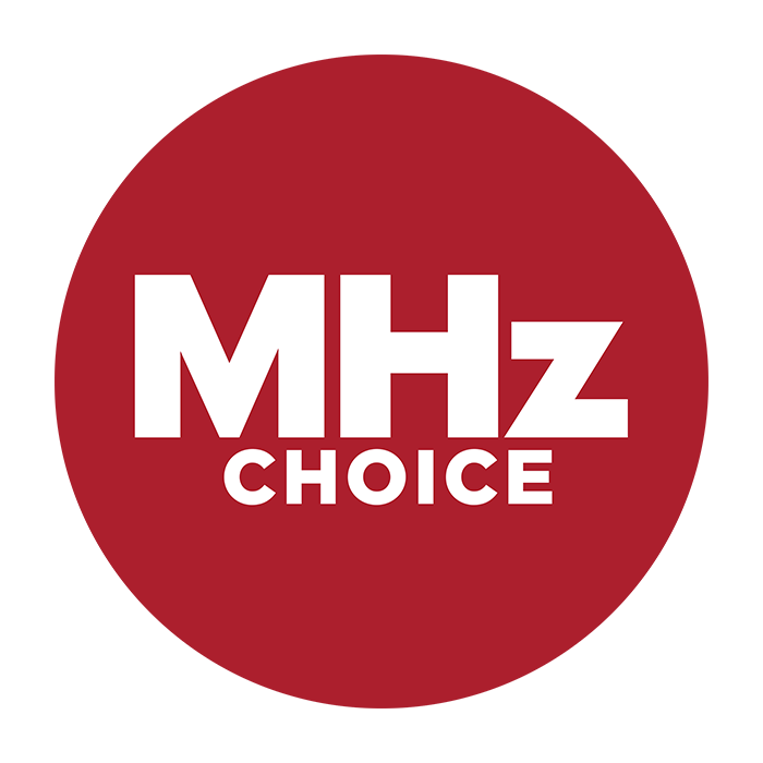 MHz Networks
