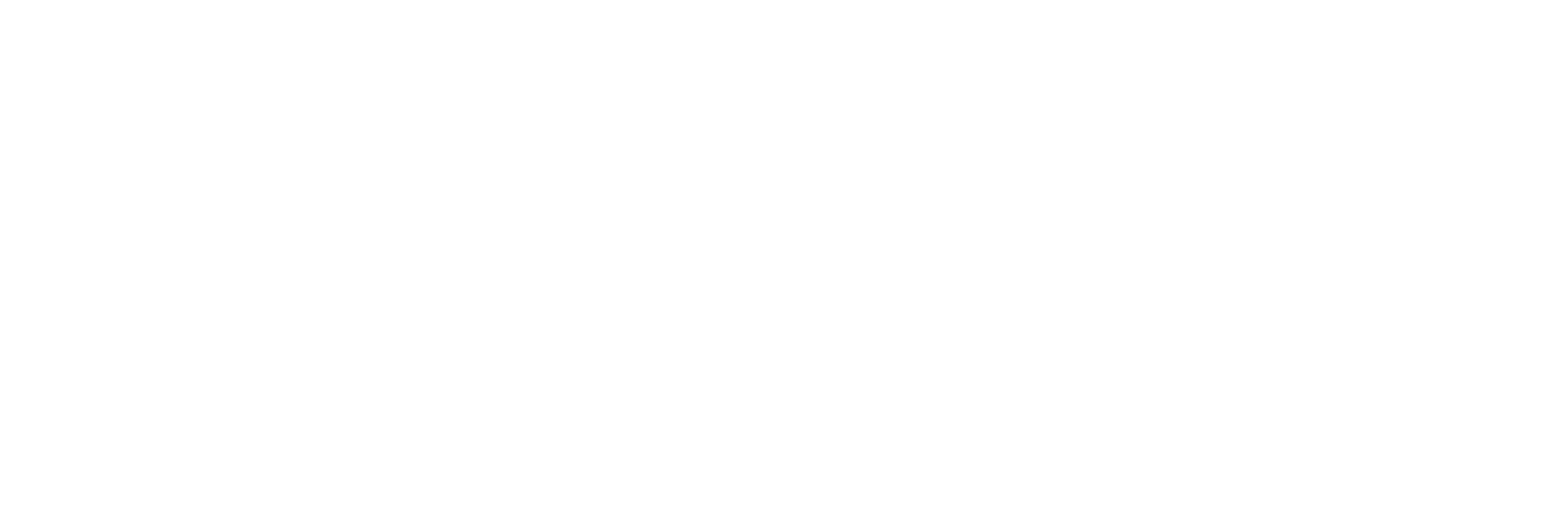 Never Summer