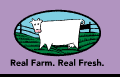 Shamrock Farms
