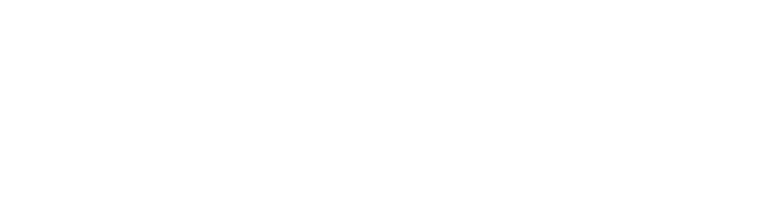 Texas Precious Metals
