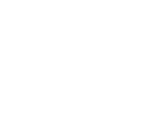 Wiss, Janney, Elstner Associates, Inc.